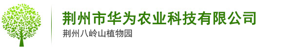 荊州市華為農業(yè)科技有限公司